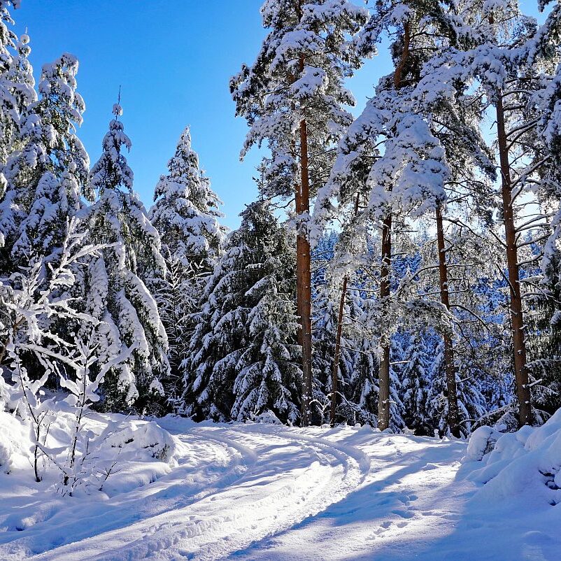 Schnee in Tennenbronn Mittelberg Hub Unterschiltach Mulpenbühl Altenburg 02