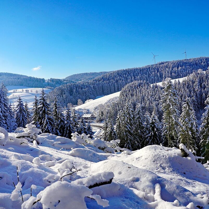 Schnee in Tennenbronn Mittelberg Hub Unterschiltach Mulpenbühl Altenburg 03