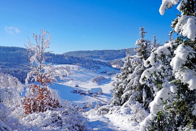 Schnee in Tennenbronn Mittelberg Hub Unterschiltach Mulpenbühl Altenburg 04