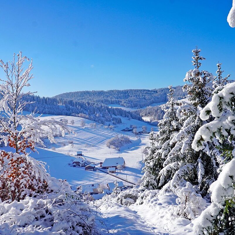 Schnee in Tennenbronn Mittelberg Hub Unterschiltach Mulpenbühl Altenburg 04
