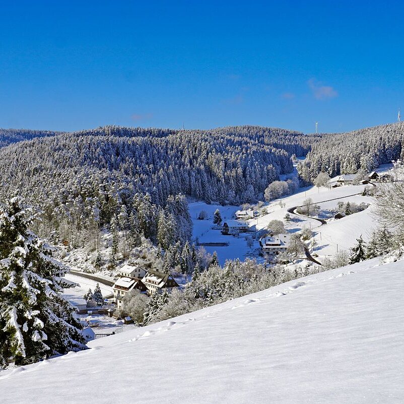 Schnee in Tennenbronn Mittelberg Hub Unterschiltach Mulpenbühl Altenburg 07
