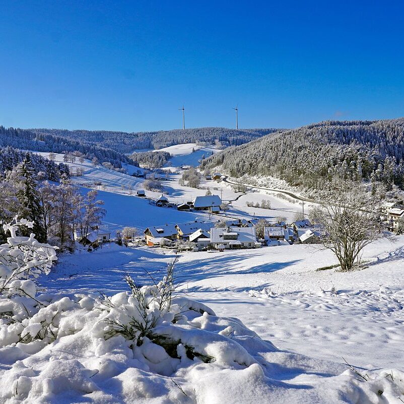 Schnee in Tennenbronn Mittelberg Hub Unterschiltach Mulpenbühl Altenburg 08