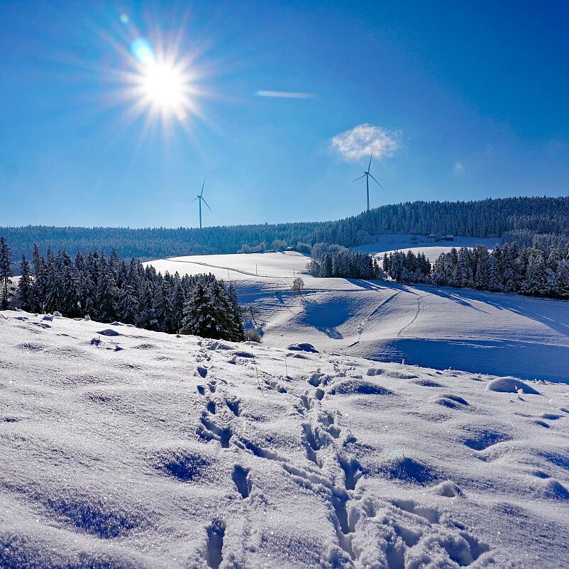 Schnee in Tennenbronn Mittelberg Hub Unterschiltach Mulpenbühl Altenburg 09