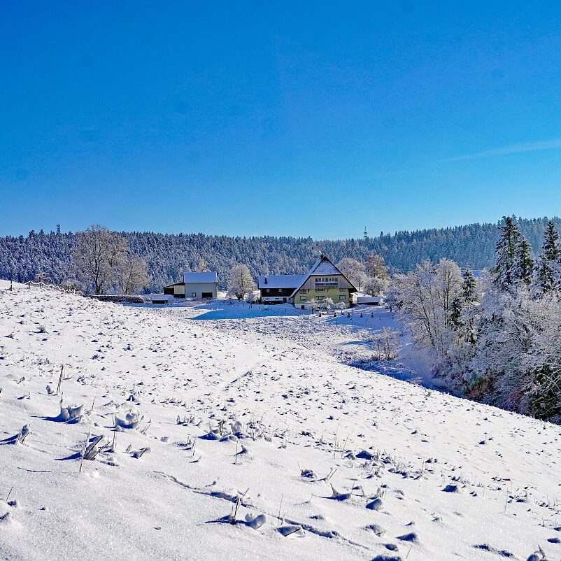 Schnee in Tennenbronn Mittelberg Hub Unterschiltach Mulpenbühl Altenburg 10