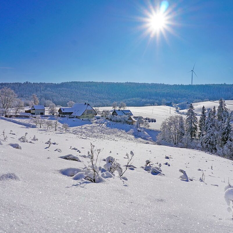 Schnee in Tennenbronn Mittelberg Hub Unterschiltach Mulpenbühl Altenburg 11
