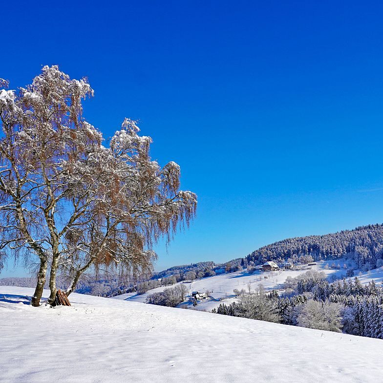 Schnee in Tennenbronn Mittelberg Hub Unterschiltach Mulpenbühl Altenburg 16