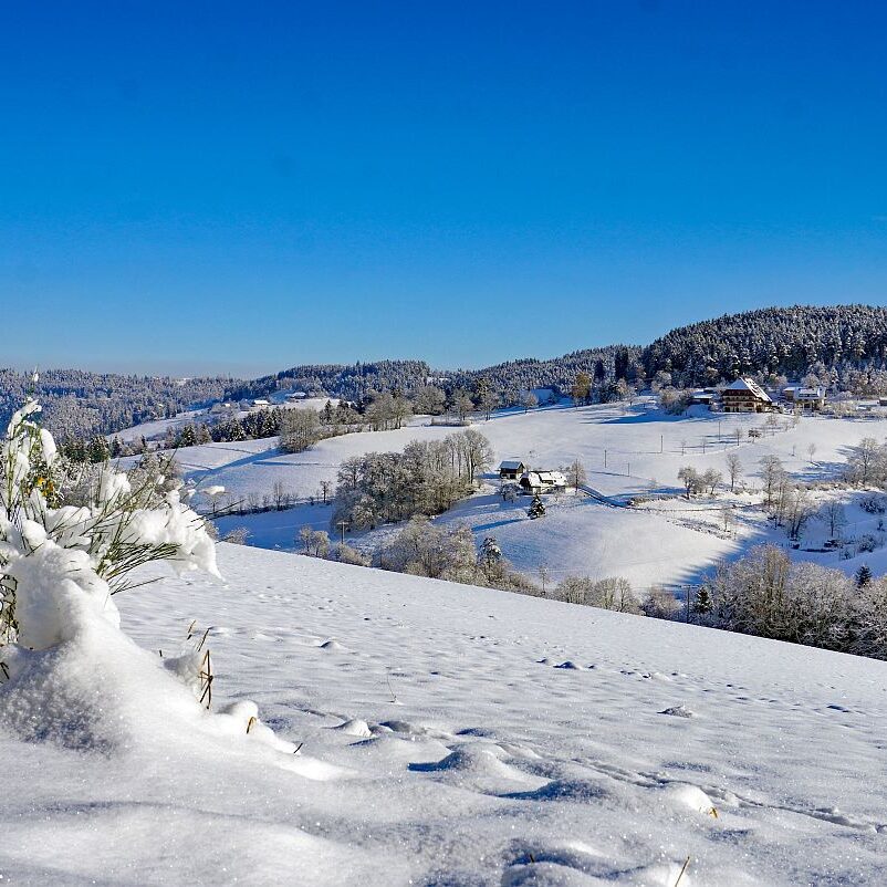 Schnee in Tennenbronn Mittelberg Hub Unterschiltach Mulpenbühl Altenburg 17
