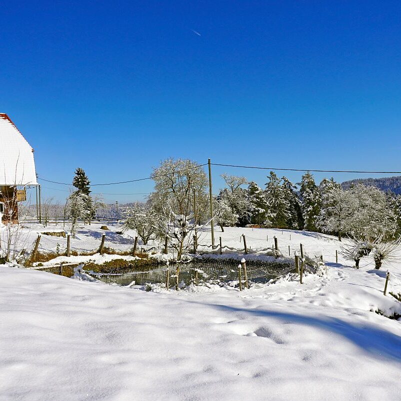 Schnee in Tennenbronn Mittelberg Hub Unterschiltach Mulpenbühl Altenburg 18