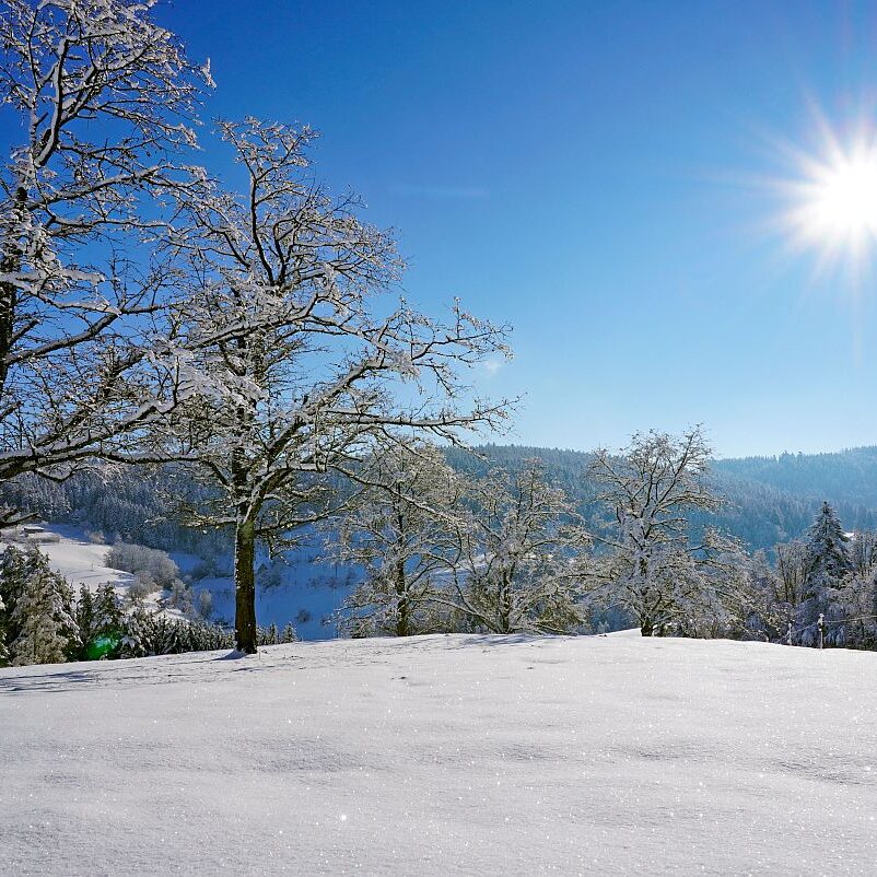 Schnee in Tennenbronn Mittelberg Hub Unterschiltach Mulpenbühl Altenburg 19
