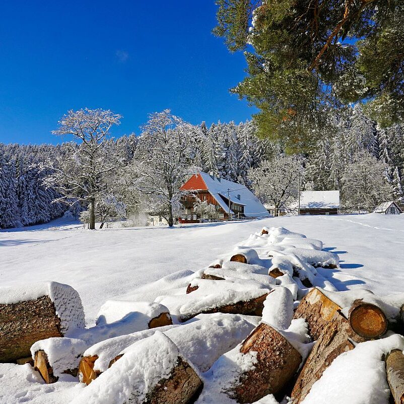 Schnee in Tennenbronn Mittelberg Hub Unterschiltach Mulpenbühl Altenburg 20