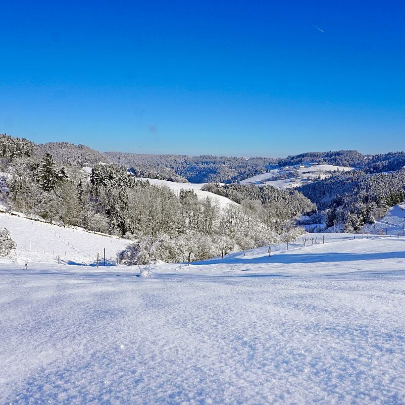 Schnee in Tennenbronn Mittelberg Hub Unterschiltach Mulpenbühl Altenburg 21