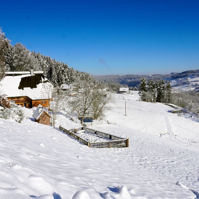 Schnee in Tennenbronn Mittelberg Hub Unterschiltach Mulpenbühl Altenburg 22
