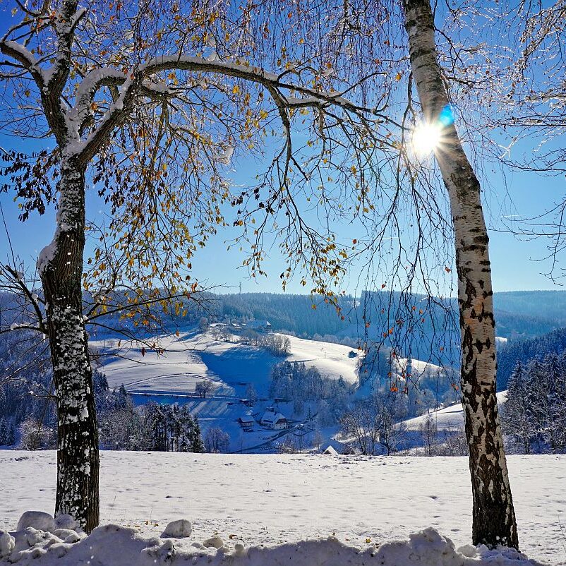 Schnee in Tennenbronn Mittelberg Hub Unterschiltach Mulpenbühl Altenburg 23