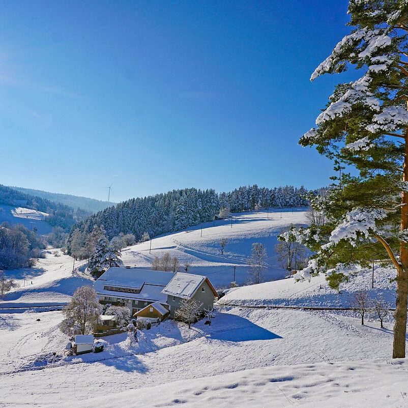 Schnee in Tennenbronn Mittelberg Hub Unterschiltach Mulpenbühl Altenburg 24