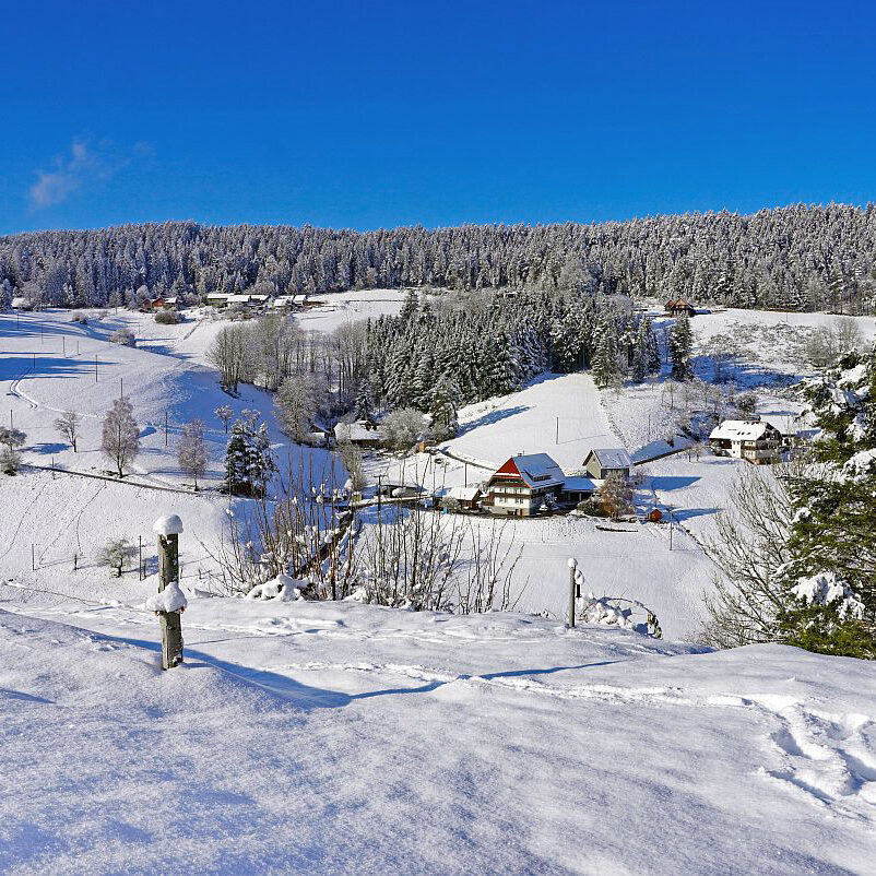 Schnee in Tennenbronn Mittelberg Hub Unterschiltach Mulpenbühl Altenburg 26
