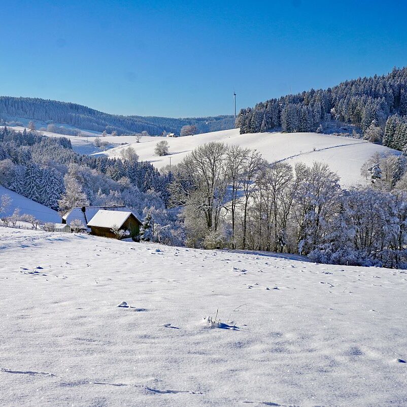 Schnee in Tennenbronn Mittelberg Hub Unterschiltach Mulpenbühl Altenburg 29