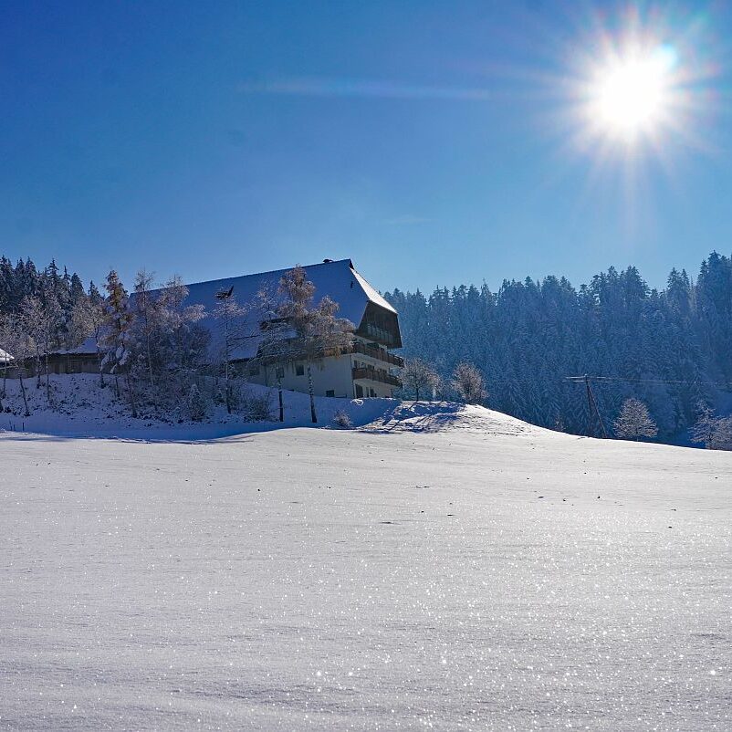 Schnee in Tennenbronn Mittelberg Hub Unterschiltach Mulpenbühl Altenburg 30