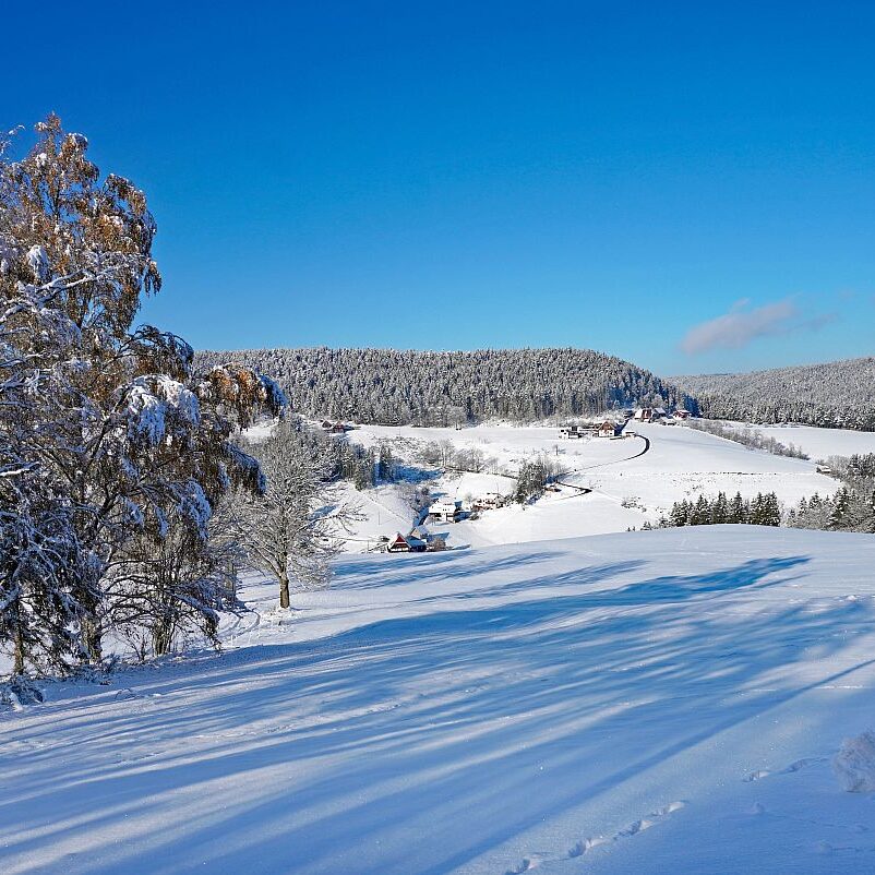 Schnee in Tennenbronn Mittelberg Hub Unterschiltach Mulpenbühl Altenburg 32