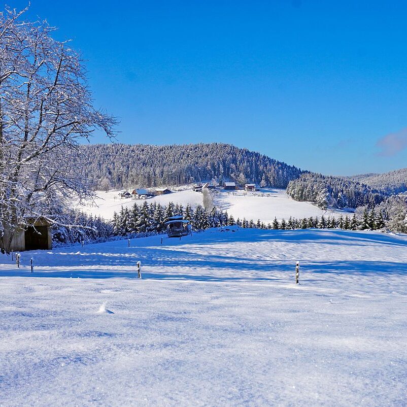 Schnee in Tennenbronn Mittelberg Hub Unterschiltach Mulpenbühl Altenburg 34