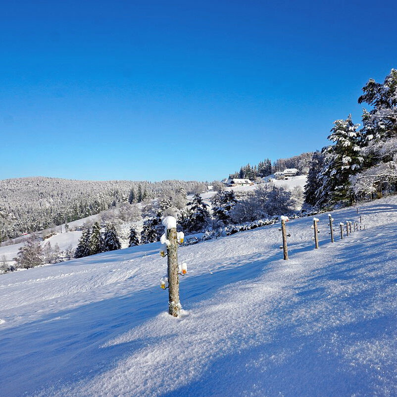 Schnee in Tennenbronn Mittelberg Hub Unterschiltach Mulpenbühl Altenburg 36