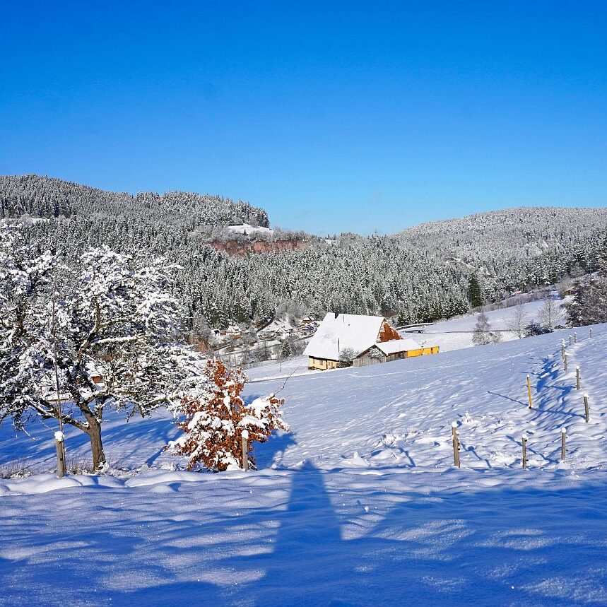 Schnee in Tennenbronn Mittelberg Hub Unterschiltach Mulpenbühl Altenburg 38