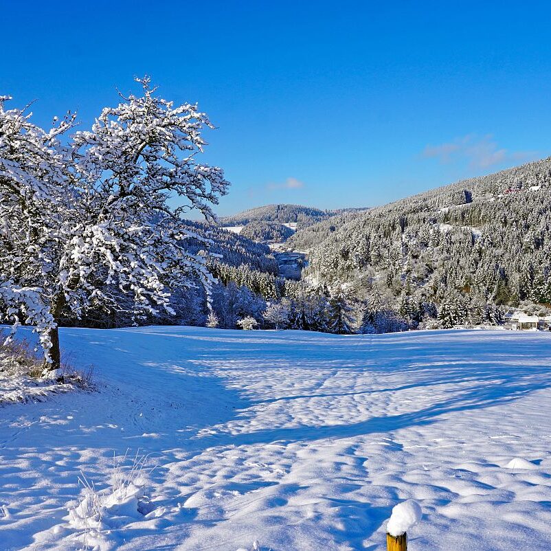Schnee in Tennenbronn Mittelberg Hub Unterschiltach Mulpenbühl Altenburg 39