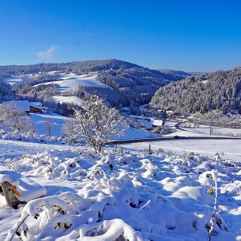 Schnee in Tennenbronn Mittelberg Hub Unterschiltach Mulpenbühl Altenburg 40