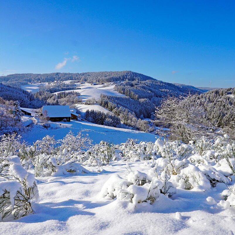 Schnee in Tennenbronn Mittelberg Hub Unterschiltach Mulpenbühl Altenburg 44