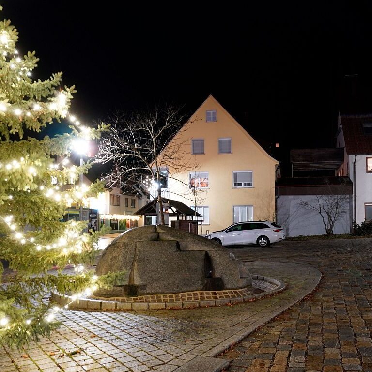 Weihanchten 2023 Tennenbronn 06