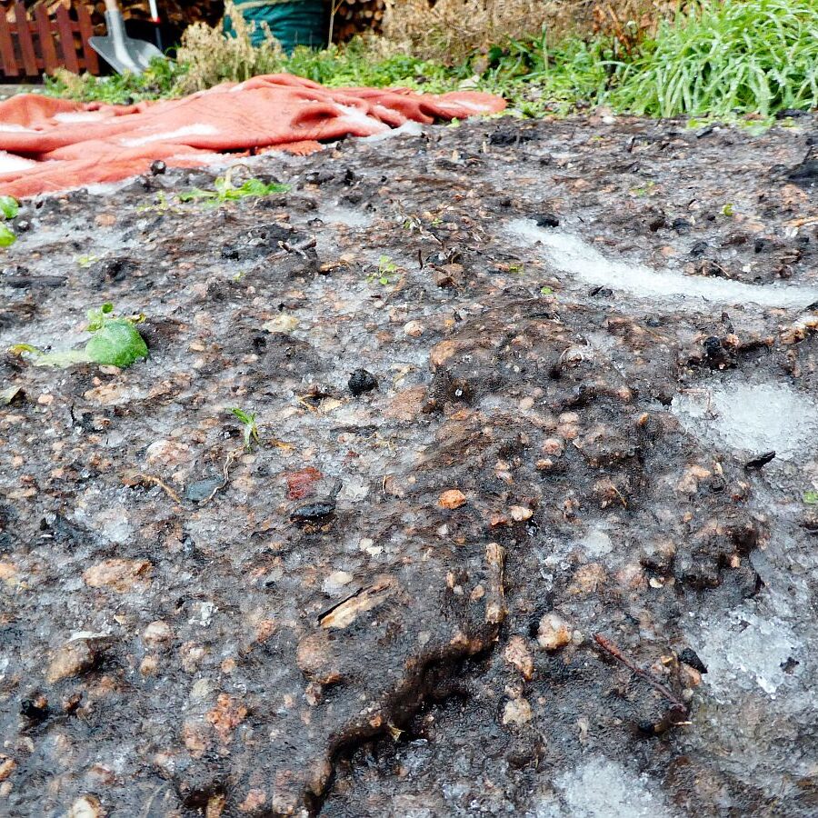 Eisregen in Tennenbronn 01