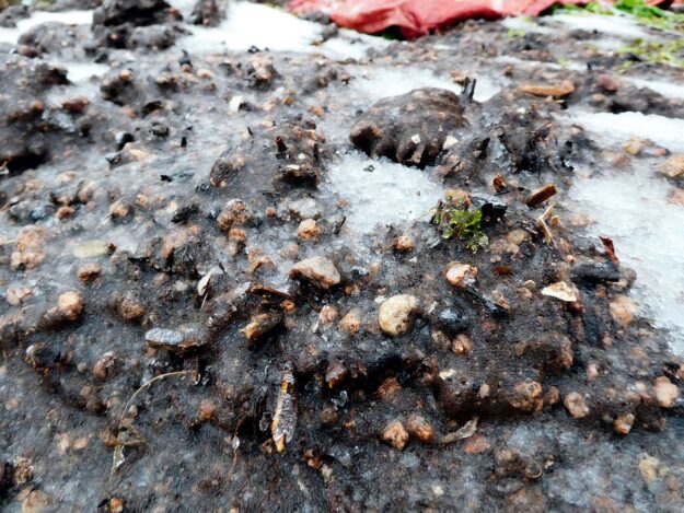 Eisregen in Tennenbronn 02