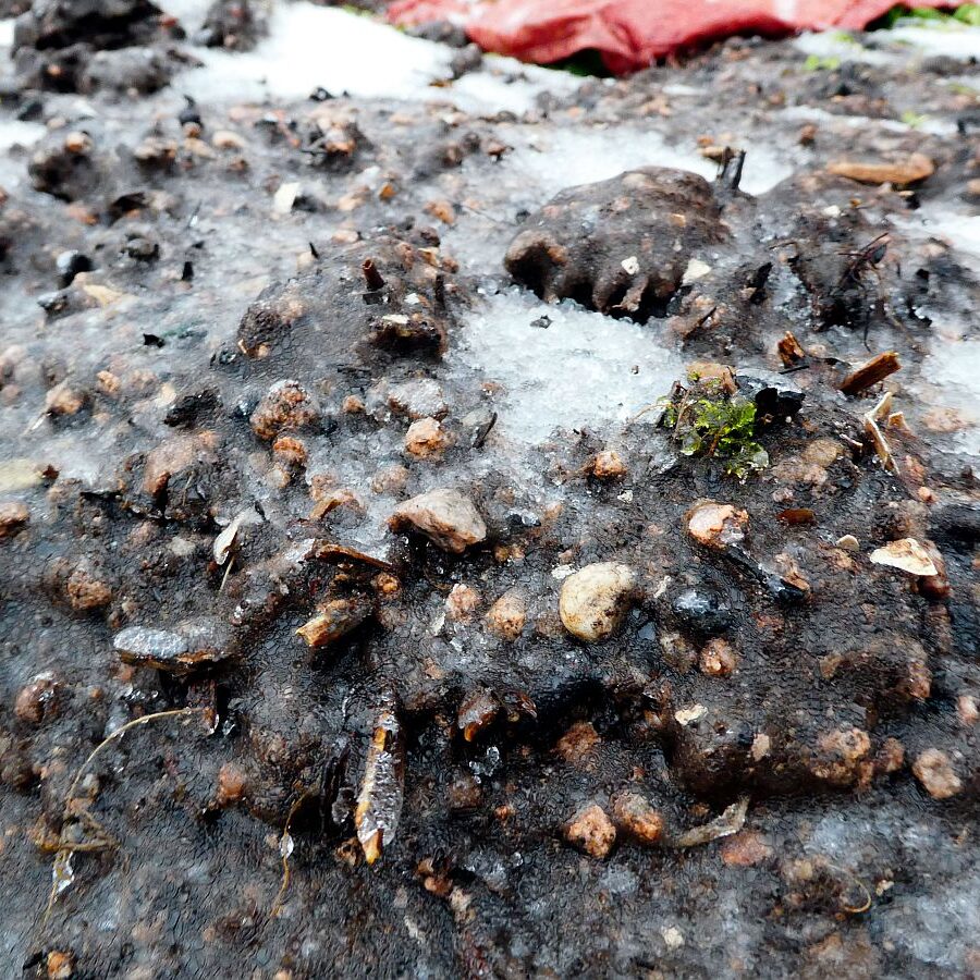 Eisregen in Tennenbronn 02