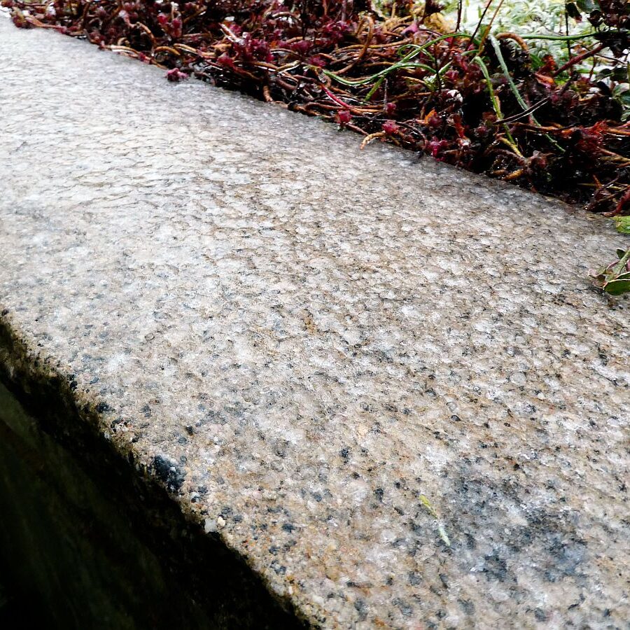 Eisregen in Tennenbronn 04