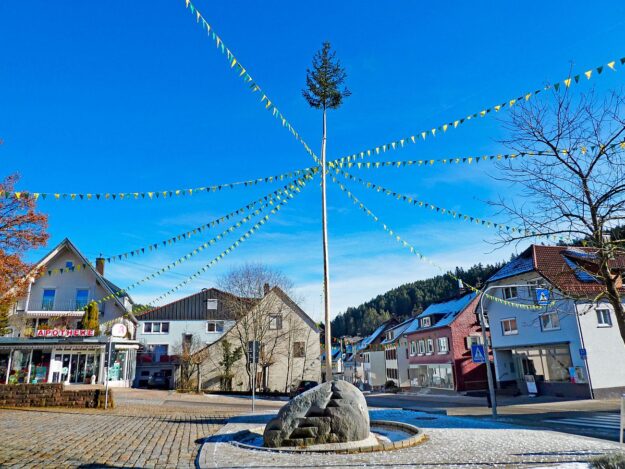 NArrenbaum Fasnetsbändel 2024 2 NArrenbaum Fasnetsbändel 2024 2