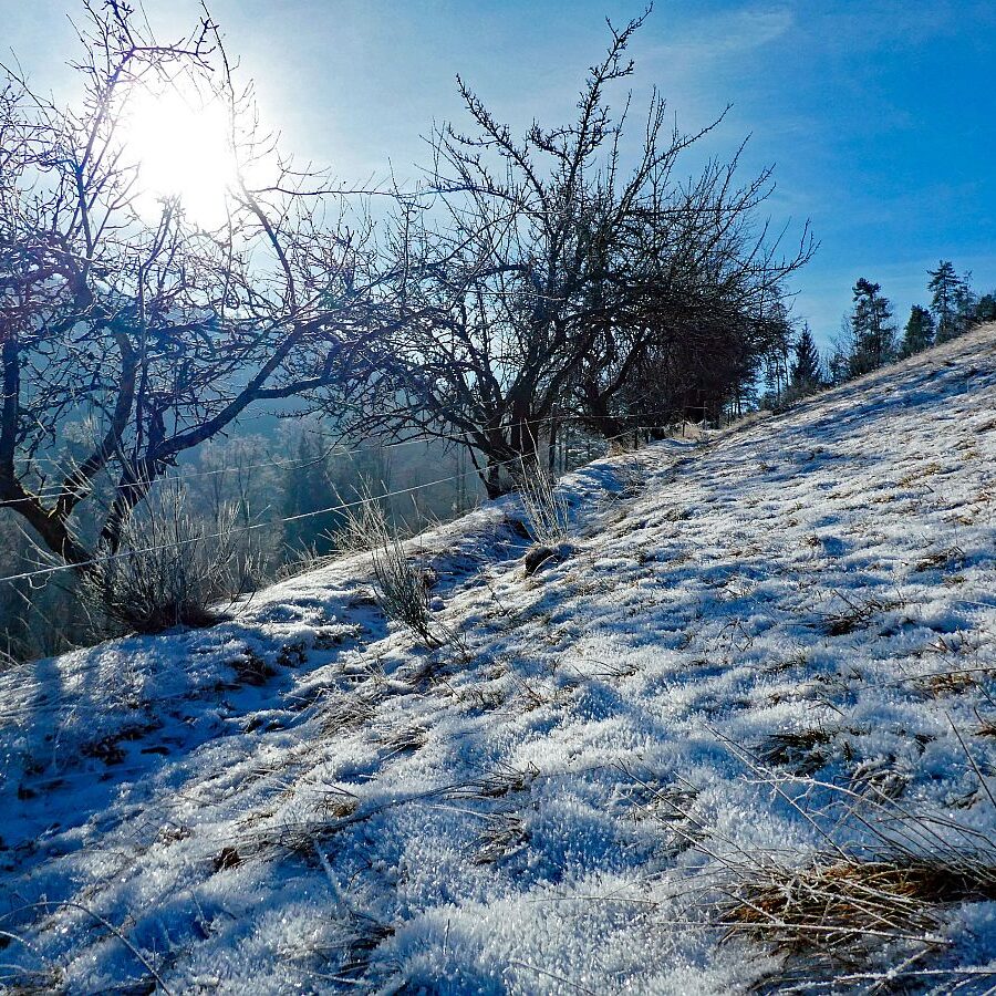 Winter Tennenbronn Kässeppenber Oehle 02
