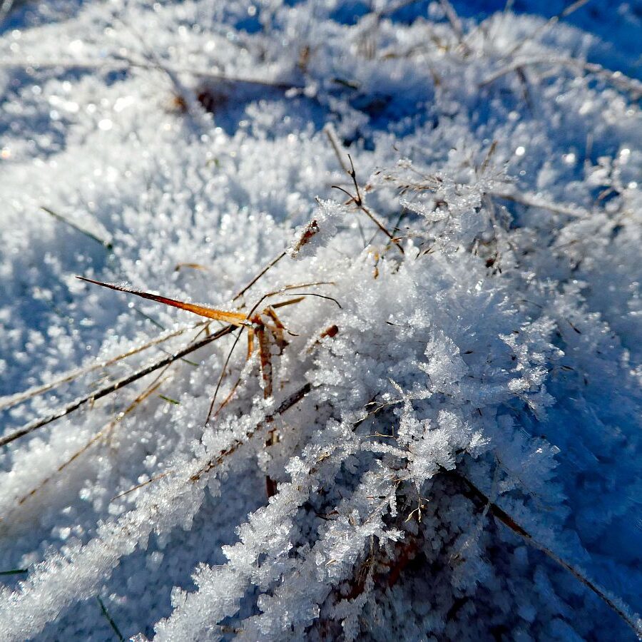 Winter Tennenbronn Kässeppenber Oehle 03