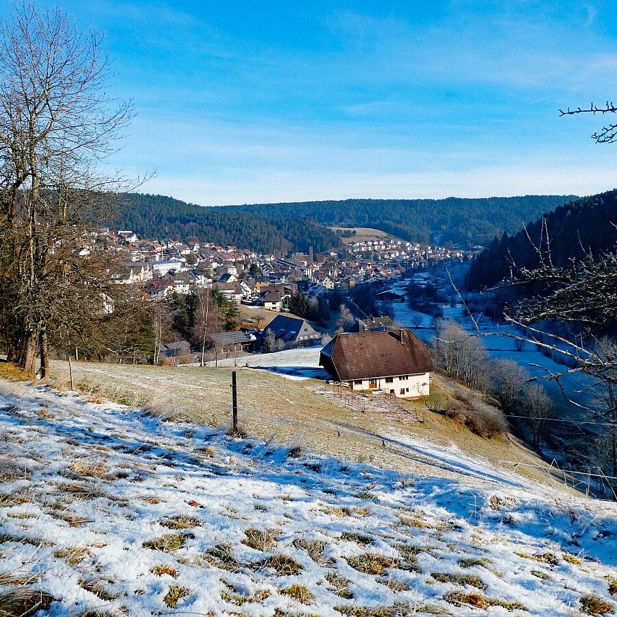 Winter Tennenbronn Kässeppenber Oehle 04
