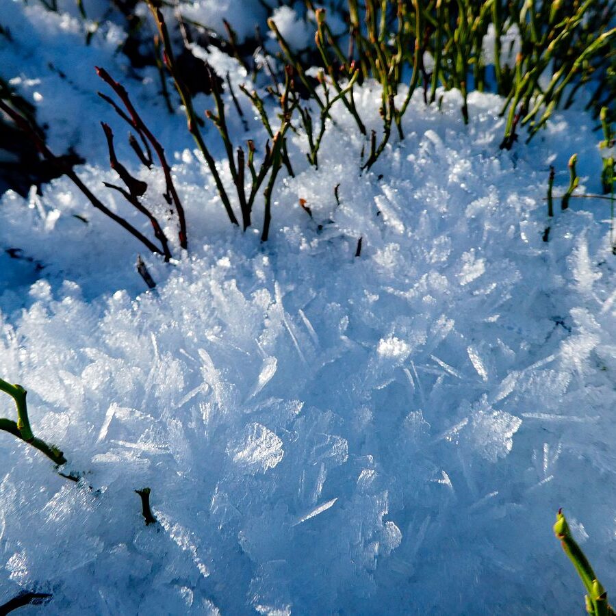 Winter Tennenbronn Kässeppenber Oehle 06