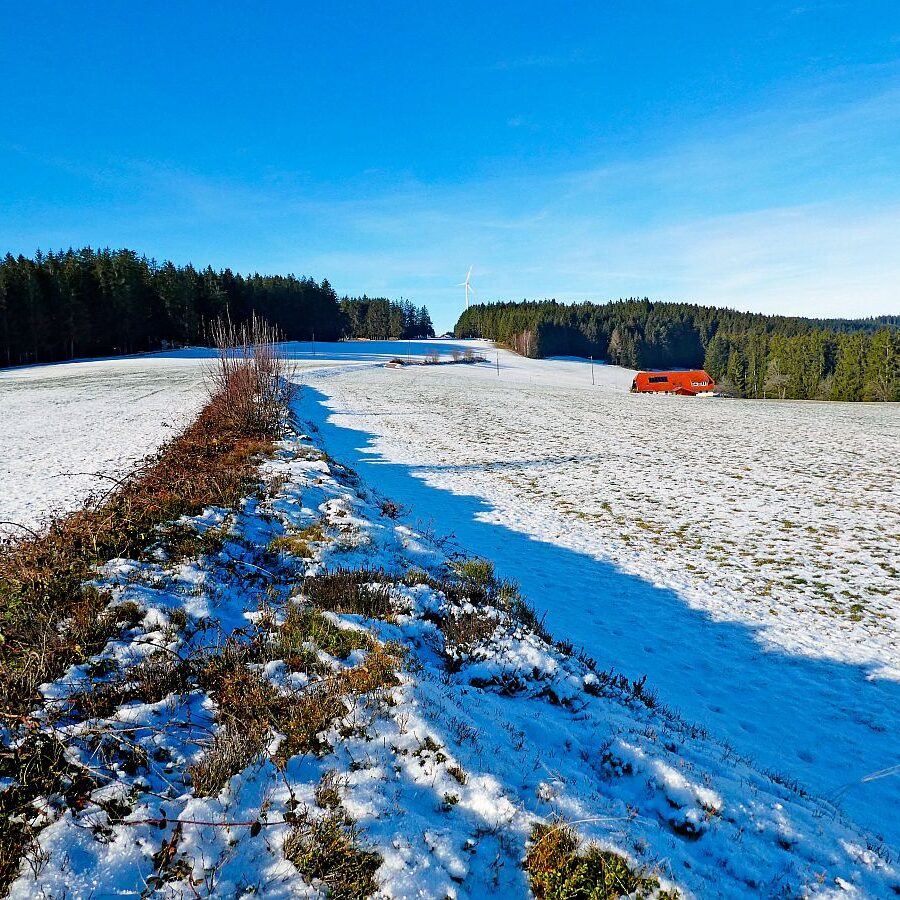 Winter Tennenbronn Kässeppenber Oehle 07