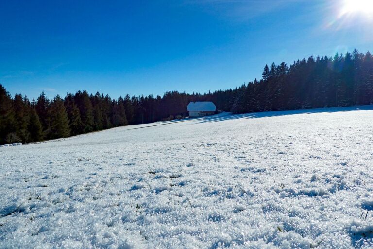 Winter Tennenbronn Kässeppenber Oehle 10 Winter Tennenbronn Kässeppenber Oehle 10