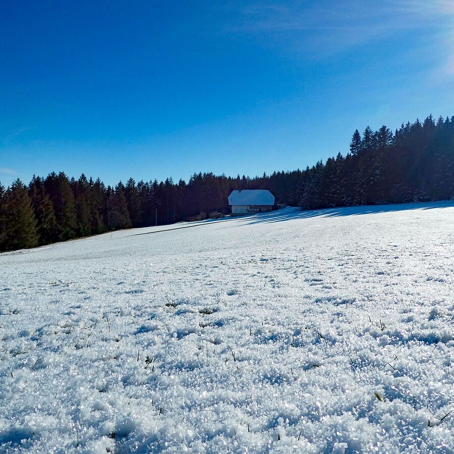 Winter Tennenbronn Kässeppenber Oehle 10