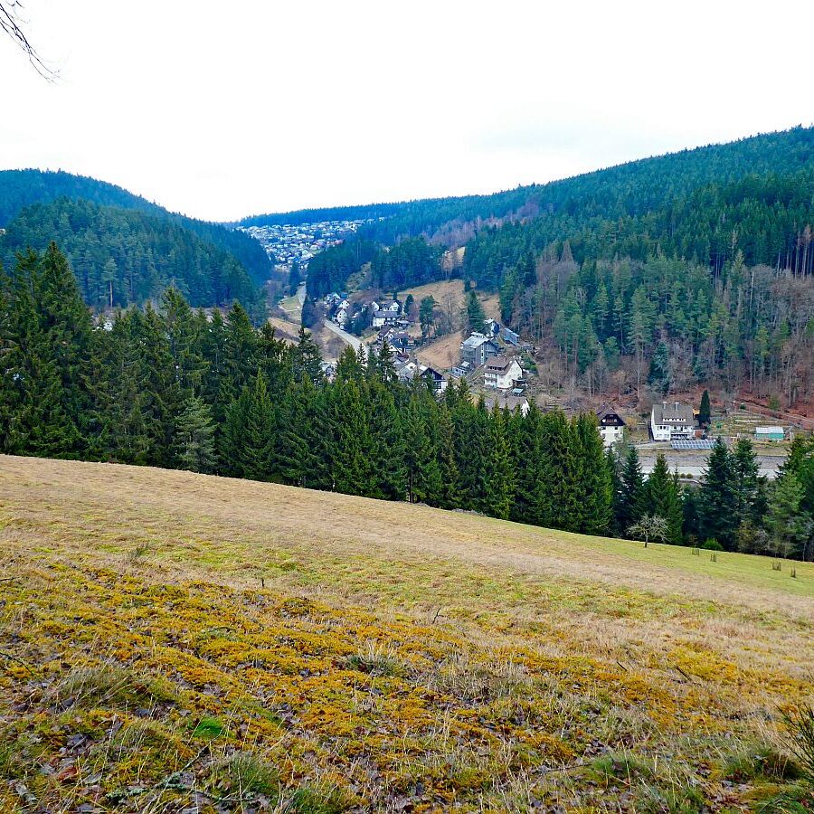 Mittelberg Geocache 2