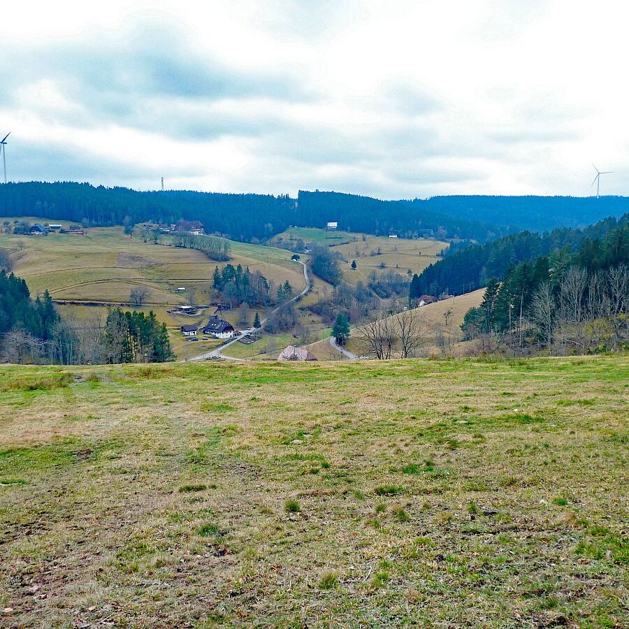 Mittelberg Geocache 4