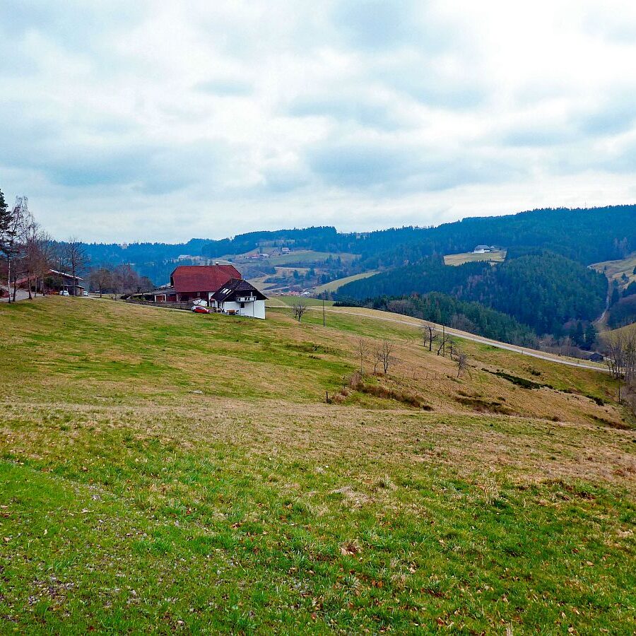 Mittelberg Geocache 5