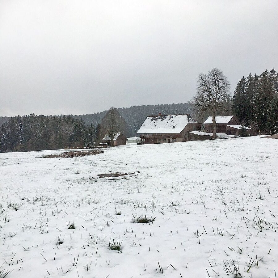 Schnee im März 1