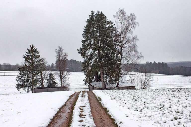 Schnee im März 2 Schnee im März 2