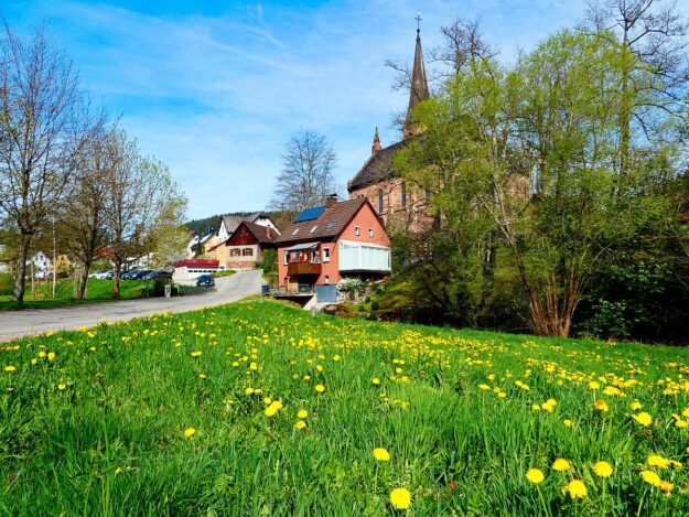 Frühling in Tennenbronn 01