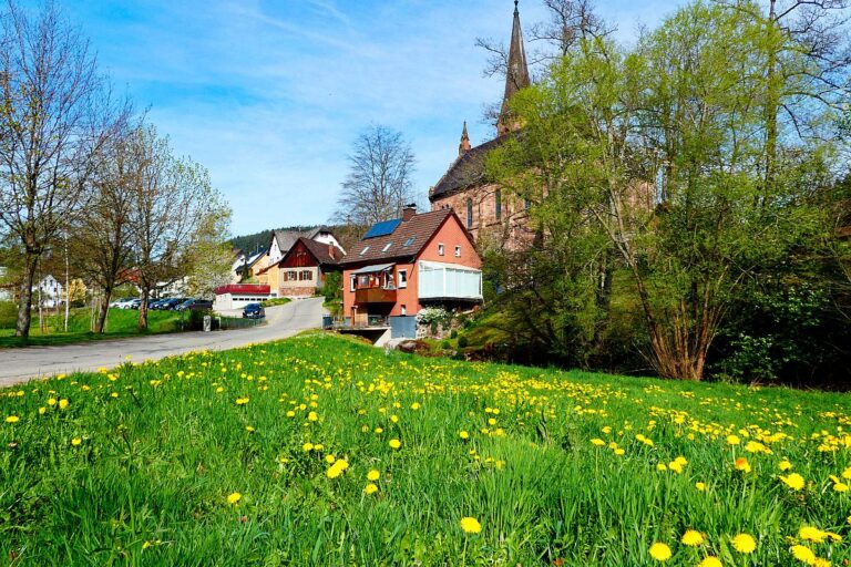 Frühling in Tennenbronn 01 Frühling in Tennenbronn 01