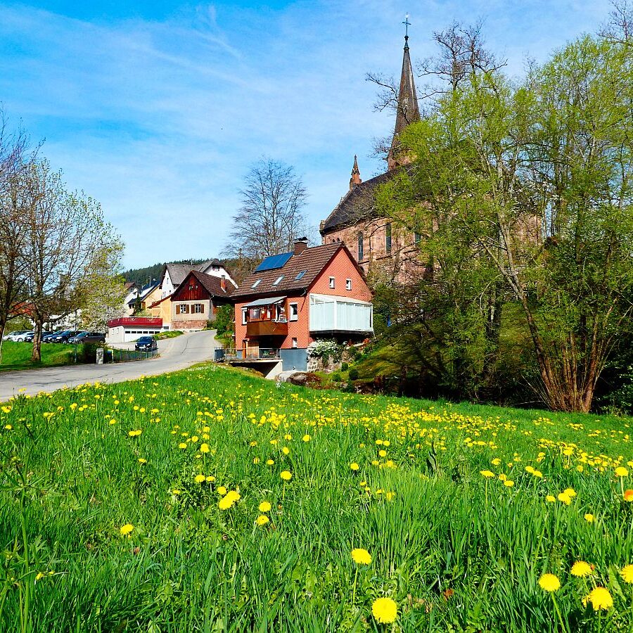 Frühling in Tennenbronn 01