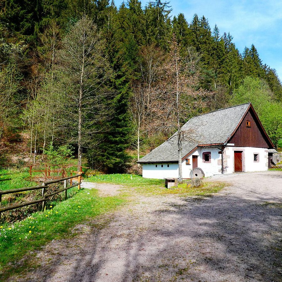 Frühling in Tennenbronn 12